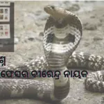 ତକ୍ଷକର ପ୍ରଶ୍ନ କବିତା ପ୍ରଫେସର ବୀରେନ୍ଦ୍ର ନାୟକ