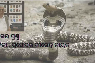 ତକ୍ଷକର ପ୍ରଶ୍ନ କବିତା ପ୍ରଫେସର ବୀରେନ୍ଦ୍ର ନାୟକ