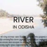 WEBSITE COVER PHOTO 5