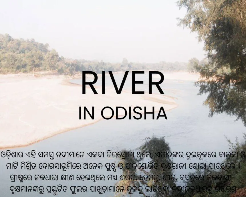 WEBSITE COVER PHOTO 5