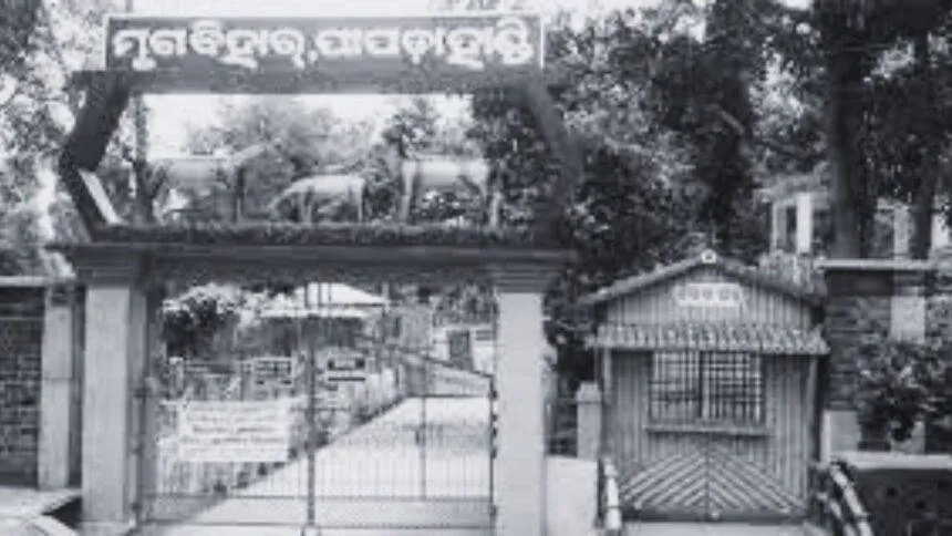 SAMADHWANI COVER PHOTO 5