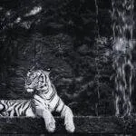 SAMADHWANI COVER PHOTO 6 1