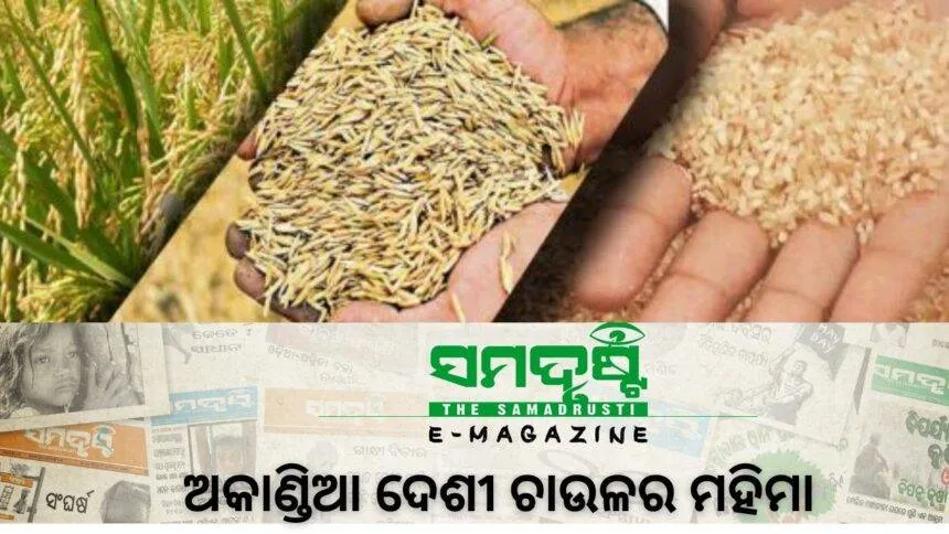 SAMADHWANI COVER PHOTO 1