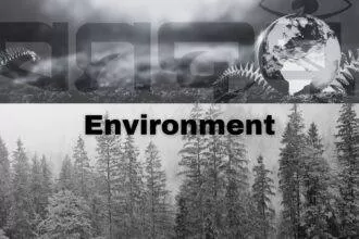 SAMADRUSTI Environment Section