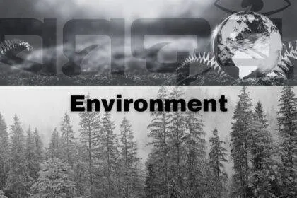 SAMADRUSTI Environment Section