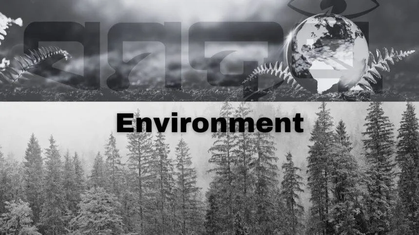 SAMADRUSTI Environment Section