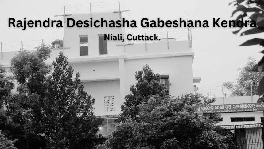 Rajendra Deshi Chasa