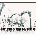 ଅଶୋକଙ୍କ ରାଜତ୍ଵ କାଳରେ ଚାଷ ଓ ଚାଷୀ
