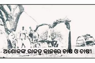 ଅଶୋକଙ୍କ ରାଜତ୍ଵ କାଳରେ ଚାଷ ଓ ଚାଷୀ