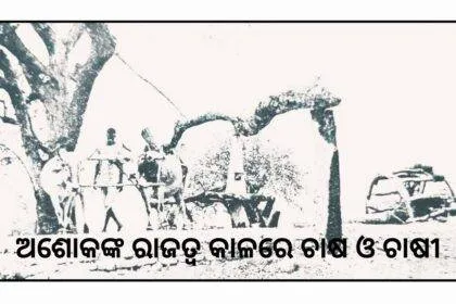 ଅଶୋକଙ୍କ ରାଜତ୍ଵ କାଳରେ ଚାଷ ଓ ଚାଷୀ