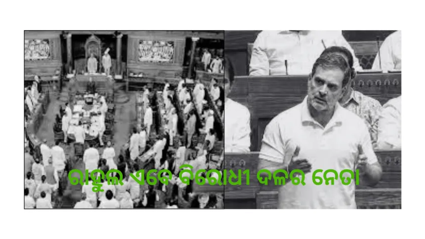 ରାହୁଲ ଏବେ ବିରୋଧୀ ଦଳର ନେତା