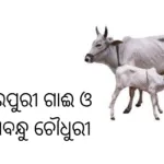 ବିଞ୍ଝାରପୁରୀ ଗାଈ ଓ ଗୋପବନ୍ଧୁ ଚୌଧୁରୀ