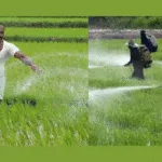 Untitled Design 11 1