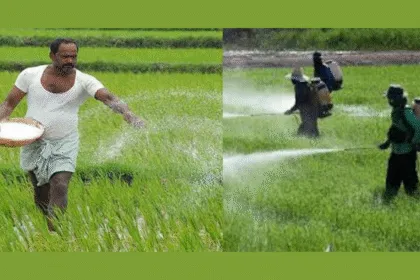 Untitled Design 11 1