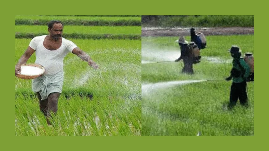 Untitled Design 11 1