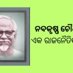 Your Paragraph Text 1