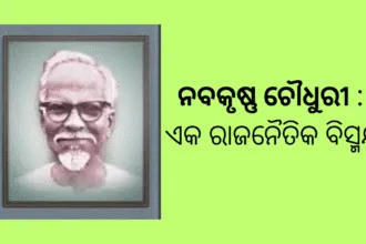 Your Paragraph Text 1