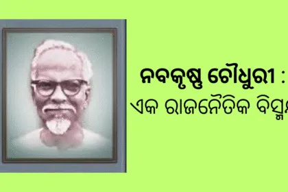 Your Paragraph Text 1